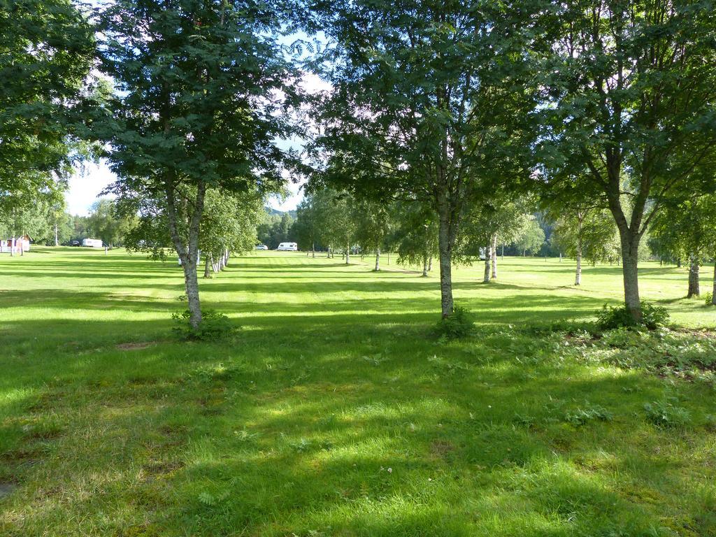 Bjoerkebo Camping Stöllet Exterior foto